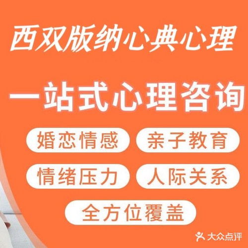 景洪心典心理健康咨询有限责任公司